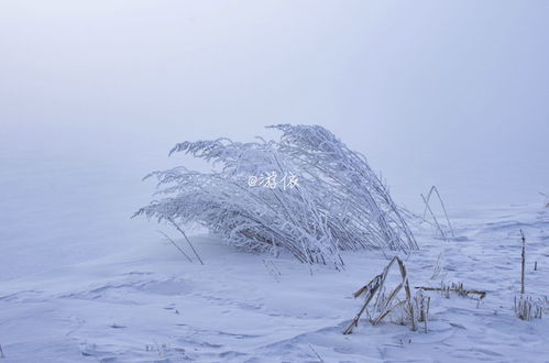 冰雪世界,童话王国