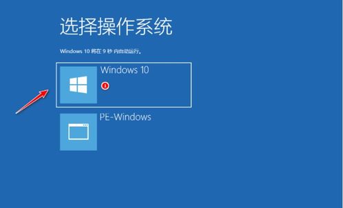 win10专业版64位如何