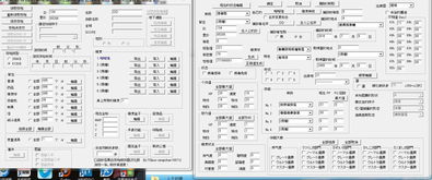 口袋妖怪黑白修改器的名字为什么是乱码 