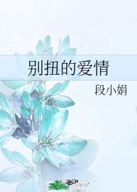 别扭的爱情 段小娟 晋江文学城 