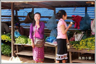 恐怖 看看老挝人都在吃些什么 你有胆吃吗 