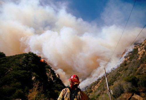 California wildfire deadliest in US history, 42 killed Sheriff