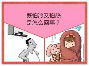 又怕冷又怕热,这是怎么回事 