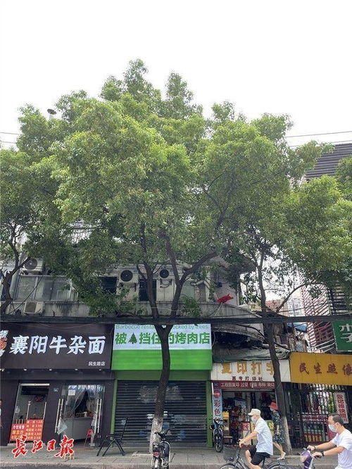 被树挡住的烤肉店 休整两天,明天营业