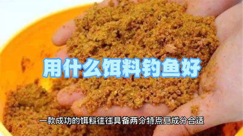 用什么饵料钓鱼好