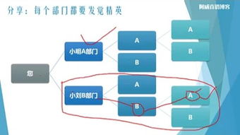 完美公司是怎样的公司