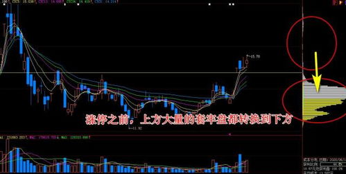 主力怎样运作股票 主力运作股票的特点