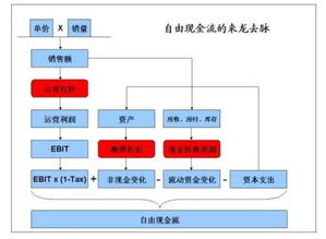 自由现金流在现金流量表是怎么算的