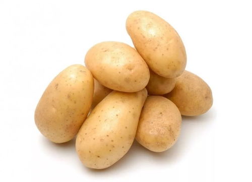 秋土豆是立秋后种吗 9月10月可以种土豆吗