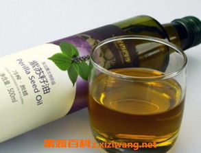 紫苏籽油(紫苏籽油的作用与功效)