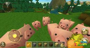 迷你世界猪怎么繁殖 猪吃什么食物
