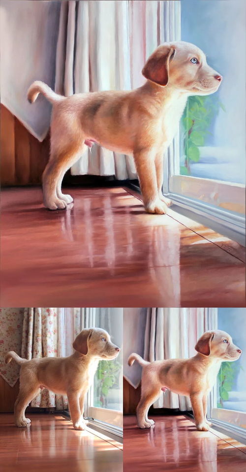 狗狗用一生陪伴你十年, 你愿意用一幅油画纪念它一辈子么
