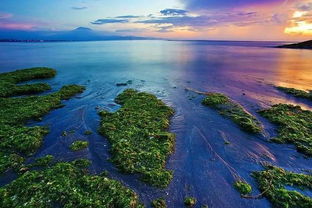 巴厘岛曼谷旅游景点介绍，巴厘岛去曼谷有多少公里