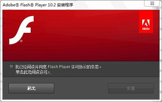 adobeflash player 10.2