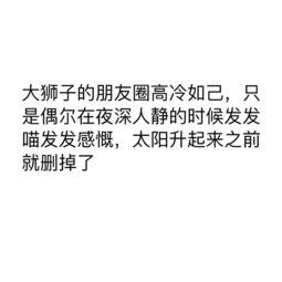 大狮子朋友圈都发些什么