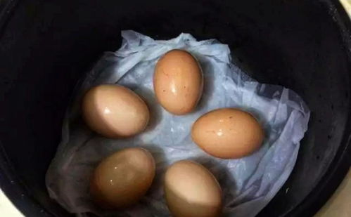 如何煮鸡蛋(怎么用电饭锅煮鸡蛋)