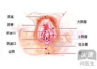 女童外阴炎会自愈吗