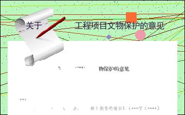 关于 工程项目文物保护的意见 