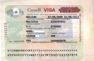 加拿大个人旅游 商务 探亲访友签证