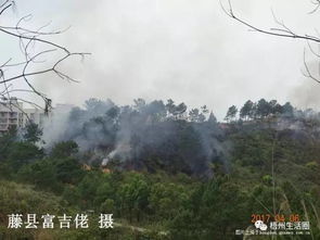 潮州催官风水宝地 卧牛穴