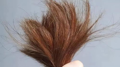 干头发怎么弄好看 头发“吹干”和“自然干”哪个好做错了会不会导致脱发