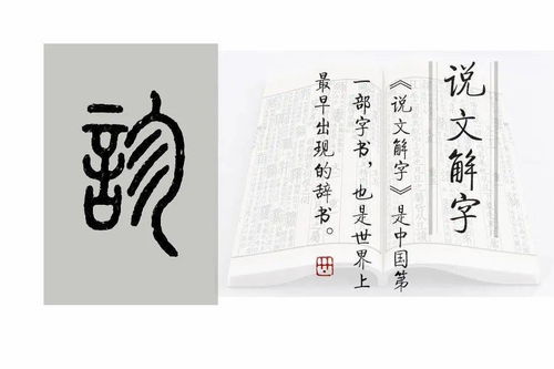 说文解字 第471课 细说 诊 字