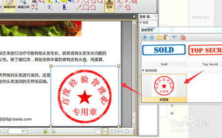 pdf编辑软件在pdf中怎么编辑图章 