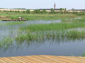 南湖湿地公园散步攻略 了解内蒙古草原风俗民情