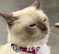 听说猫咪名字越 贱 ,活得时间就越久