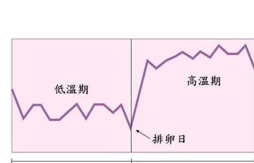 每到傍晚我的体温会在37度1或者37度3左右请问这是为什么？