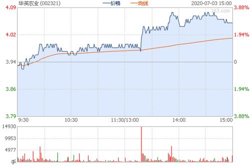 002321华英农业股票基本面估值