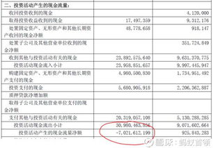 新城控股偿债能力分析