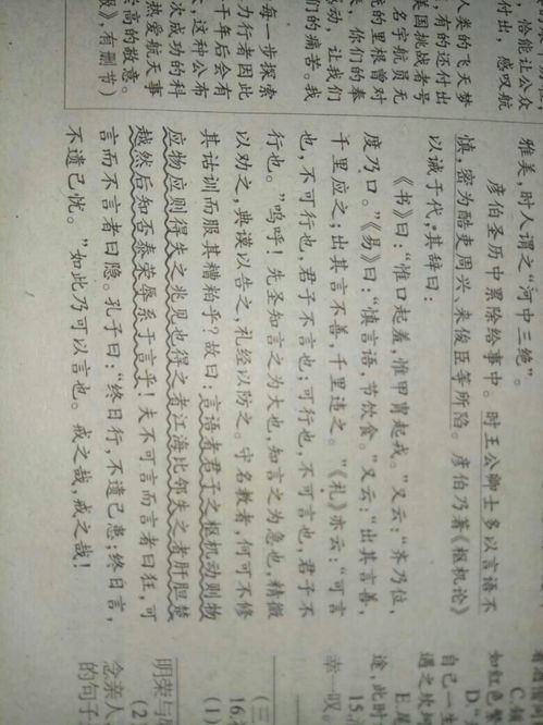 老人引杨氏入山原文及翻译