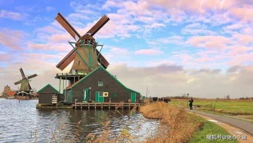 HL荷兰护照 荷兰永居 荷兰移民经验分享 关于居留的学历要求 快速办理