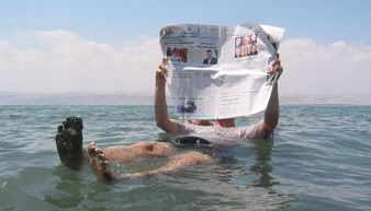 躺在死海的水面上, 就可以看报纸了 死海 以色列 水面 新浪网 