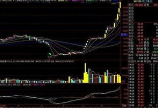 精准买入策略：均线、成交量与MACD的综合判断