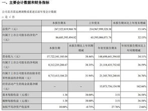 格力电器的财务分析毕业论文