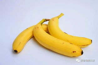 关于香蕉效果的诗句