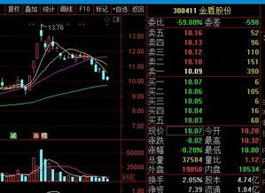 跌停的股下午还会再开盘吗？