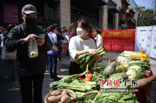 因为疫情蔬菜滞销如何解决(受疫情影响,地方蔬菜滞销,你将采取什么办法帮助百姓?)