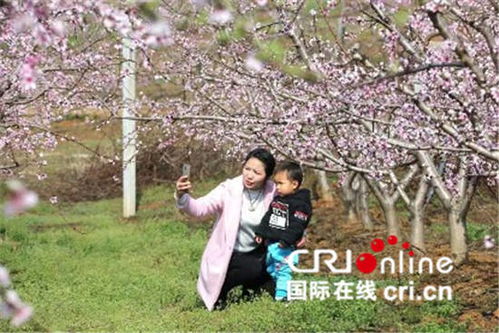 中国春分遇上国际幸福日 幸福如花般绽放