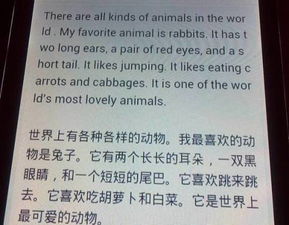 请帮我写一篇我喜欢的动物英语短文,要80词左右,我喜欢的动物是小白兔 