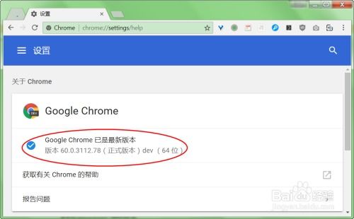 Chrome版本怎么查看(移动端查看Chrome浏览器版号)