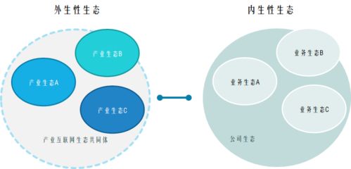 企业生态与竞争优势