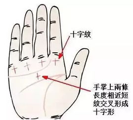 太神奇了,用你手掌能看出你是否有意外之财 