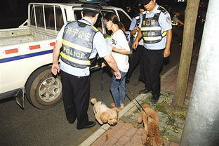 南宁警方夜查无证养狗 一男子阻挠执法被警告 