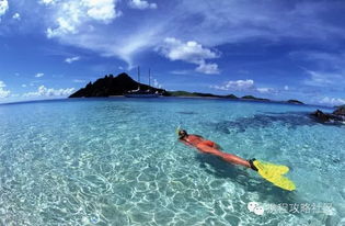 在斐济怎么办理日本签证？