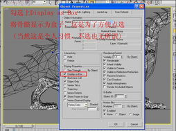 3dmax刷权重骨骼的层级怎么看(revit怎么只看某一层的三维)