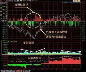 股票中的分时图的价格受什么因素浮动？是庄家？还是市场行为？还是两者皆有？