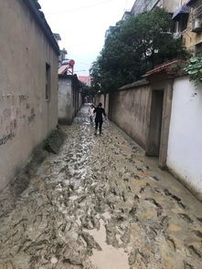 农村到处铺上了水泥路，为什么一到下雨天还是到处泥